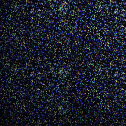 Neon Hologram .375Mm 100Ml