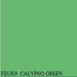 FORD FEUK9 CALYPSO GREEN