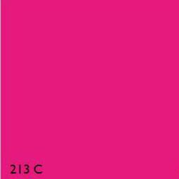Pantone Fluorescent 213C ROSE RANGE