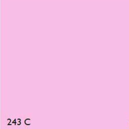 Pantone Fluorescent 243C CHERISE RANGE