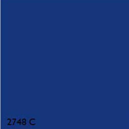 Pantone 2748C BLUE RANGE