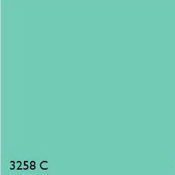 Pantone 3258C GREEN RANGE