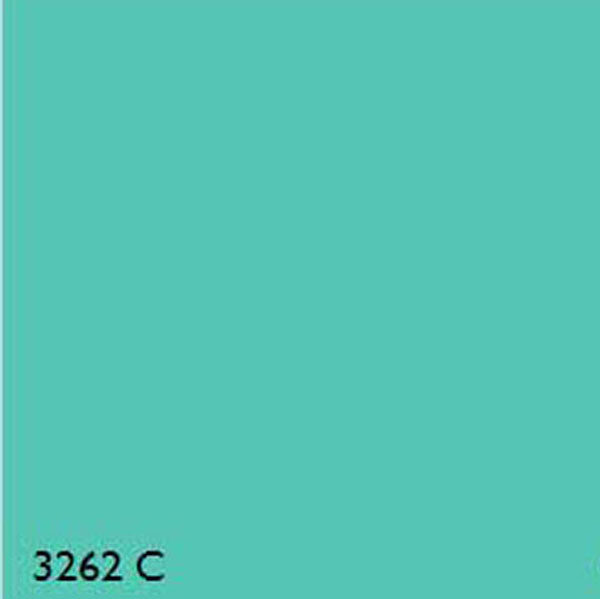 Pantone 3262C GREEN RANGE
