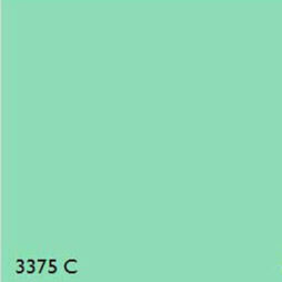 Pantone 3375C GREEN RANGE