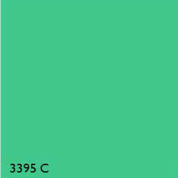 Pantone 3395C GREEN RANGE
