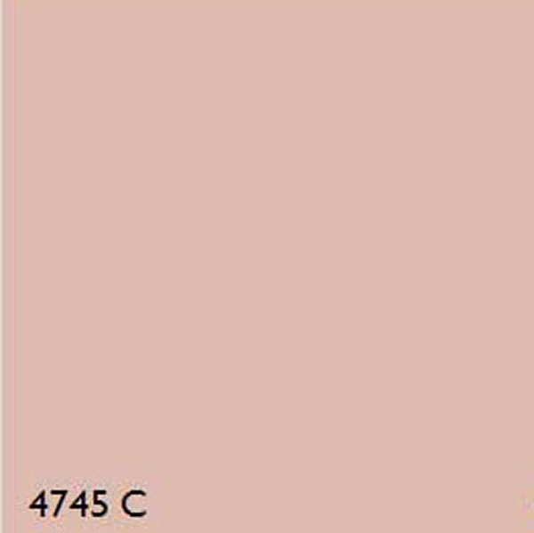 Pantone Beige 4745 2k Colour Matched (pantone) Multi-surface Industrial  Paint - 400ml