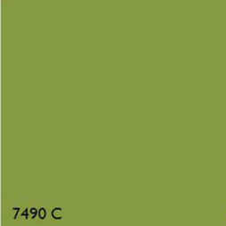 Pantone 7490C GREEN RANGE