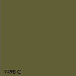 Pantone 7498C GREEN RANGE