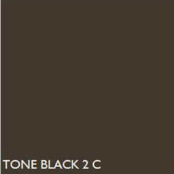 Pantone BLACK2C  BLACK 2 C