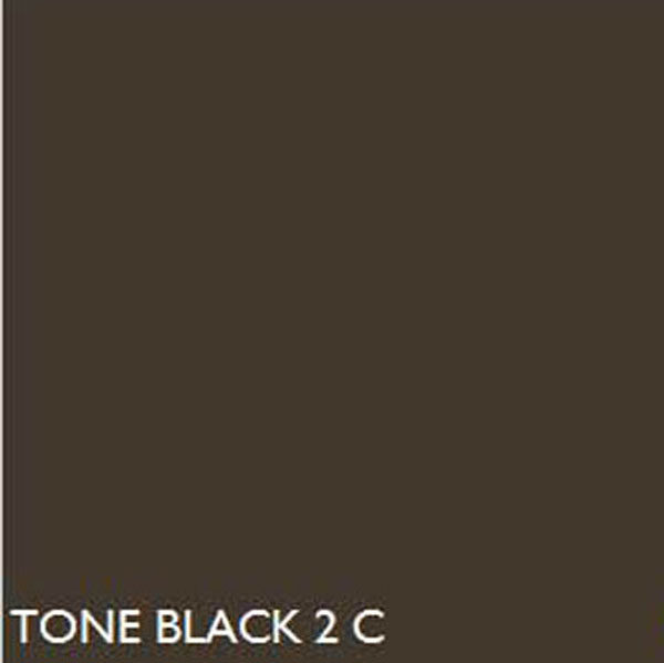 Pantone BLACK2C  BLACK 2 C