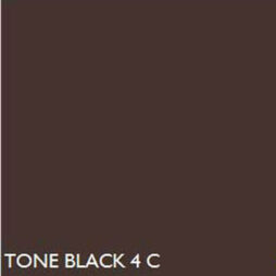 Pantone BLACK4C  BLACK 4 C