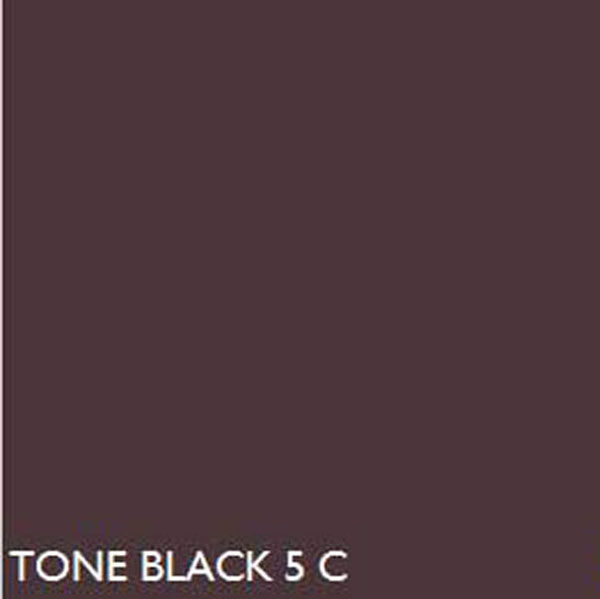 Pantone BLACK5C  BLACK 5 C