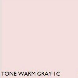 Pantone  WARM GRAY 1 C