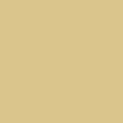 RAL COLOUR STANDARD 1001 BEIGE YELLOW
