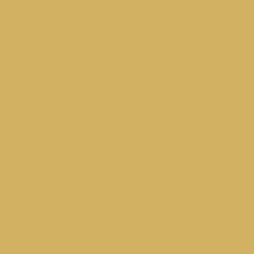 RAL COLOUR STANDARD 1002 SAND YELLOW
