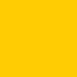 RAL COLOUR STANDARD 1023 TRAFFIC YELLOW
