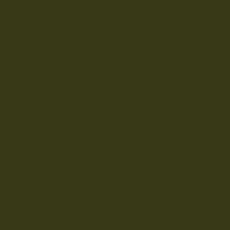 RAL COLOUR STANDARD 6003 OLIVE GREEN