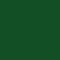 RAL COLOUR STANDARD 6016 TURQUOISE GREEN