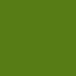 RAL COLOUR STANDARD 6017 YELLOW GREEN
