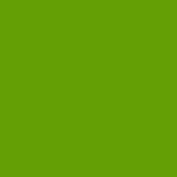 RAL COLOUR STANDARD 6018 MAY GREEN