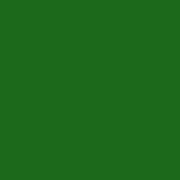 RAL COLOUR STANDARD 6032 SIGNAL GREEN