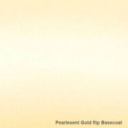Special Effect Basecoat Colour PI502 WHITE/GOLD FLIP